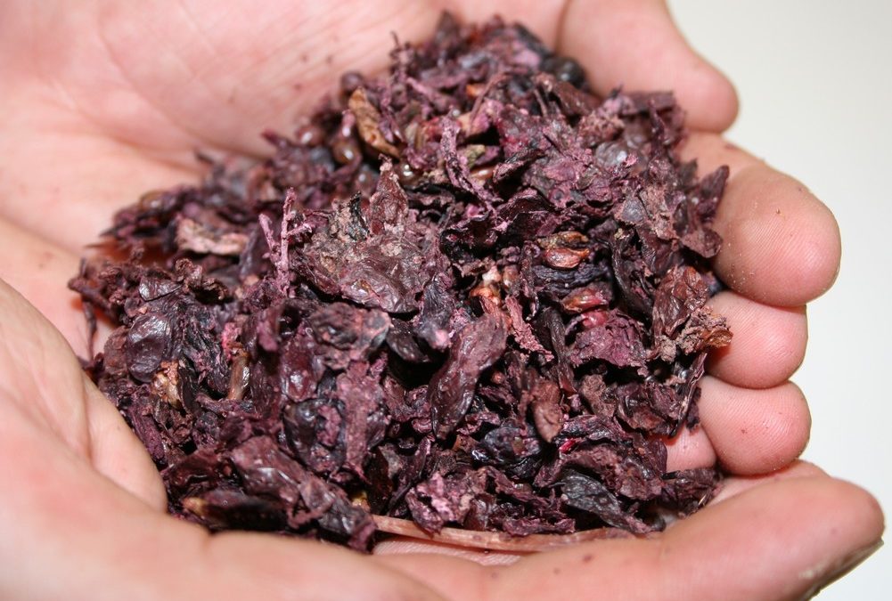 In vino veritas