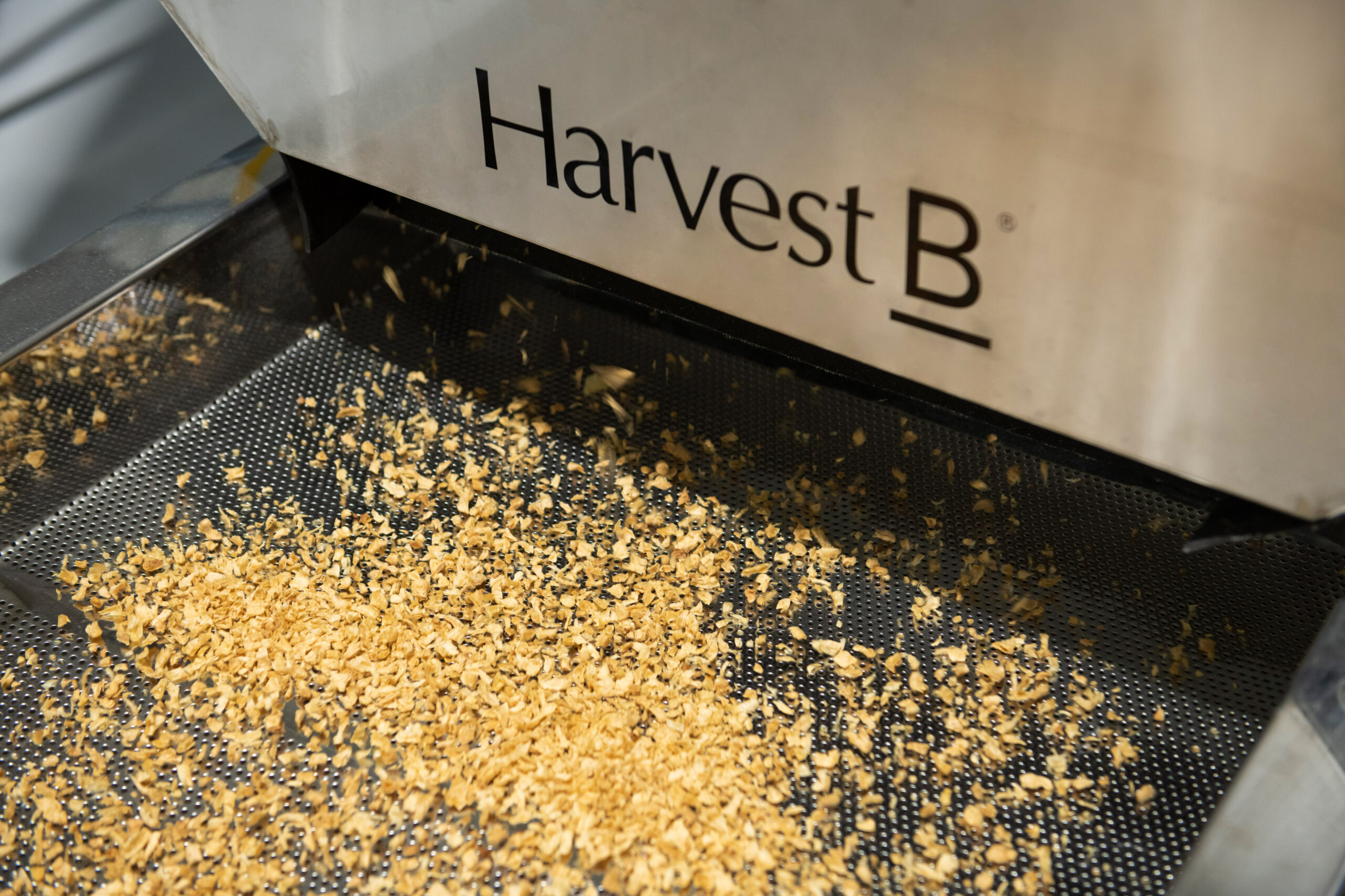 Harvest B Story