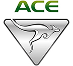 ACE-EV Group